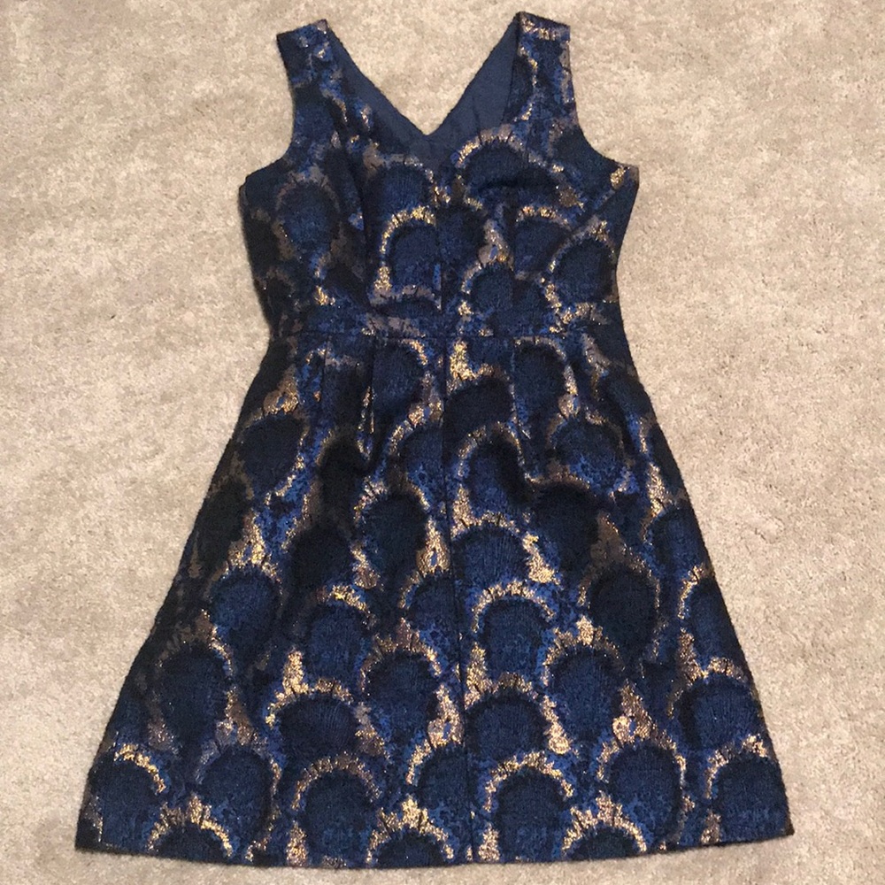 Never Worn J. Crew Dress